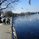 113_7574_JPG-1328834329