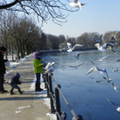 113_7576_JPG-1328834346