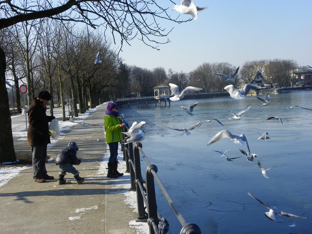 113_7576_JPG-1328834346