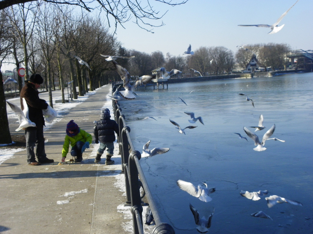 113_7575_JPG-1328834889