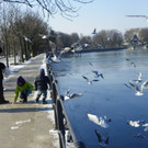 Winterfütterung am See