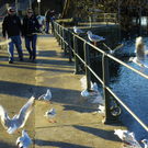 113_6306_JPG-1328834871