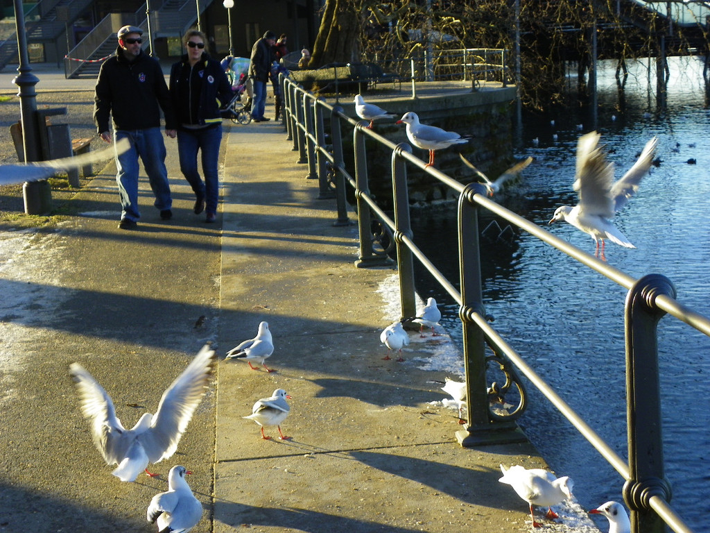 113_6306_JPG-1328834871