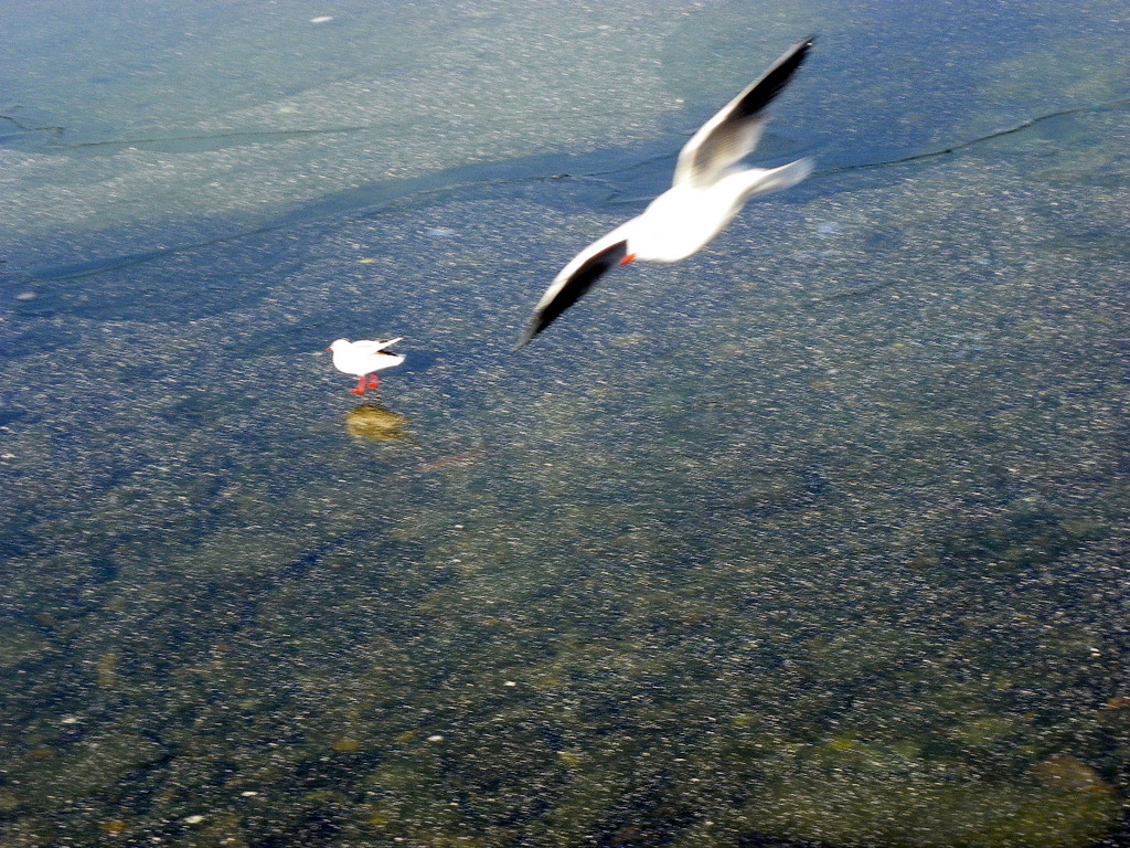 113_7584_JPG-1328834926