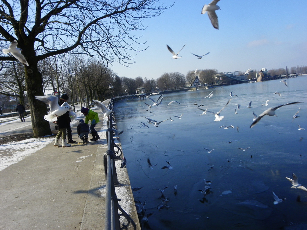 113_7574_JPG-1328834881