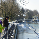 113_7583_JPG-1328834916