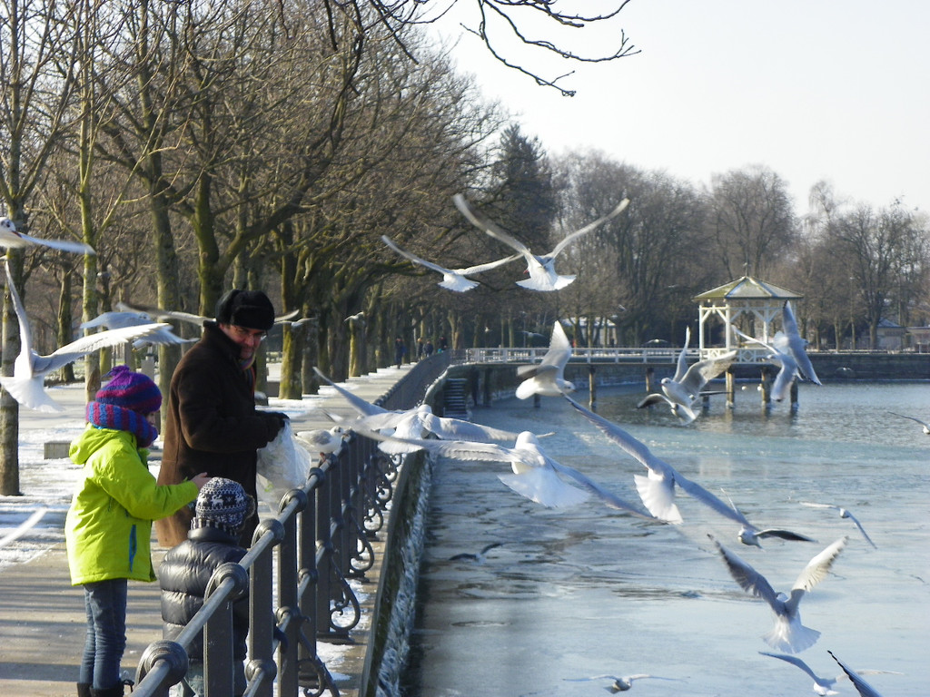 113_7583_JPG-1328834916