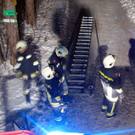 09022012_Tierrettung Bad V__slau _2_.jpg