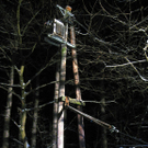09022012_Tierrettung Bad V__slau _5_.jpg