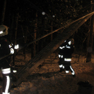 09022012_Tierrettung Bad V__slau _6_.jpg