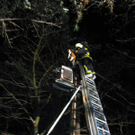 09022012_Tierrettung Bad V__slau _9_.jpg
