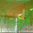 DSC05958_jpg-1328884384