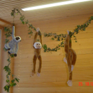 DSC05960_jpg-1328884389