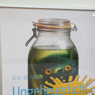 normal_10022012fmt_ungeheuerlich_ta_001.JPG