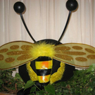 IMG_6019.JPG