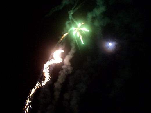 2009sil02.jpg