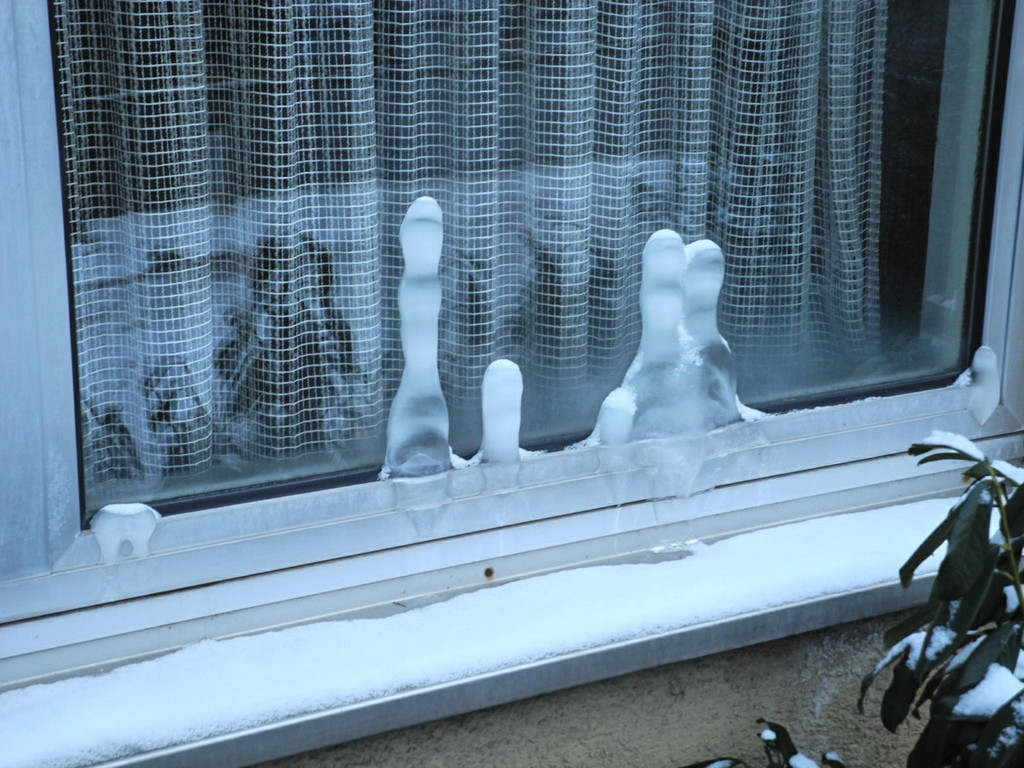 DSCN0249_jpg-1328972614