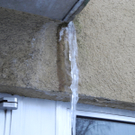 DSCN0250_JPG-1328972642