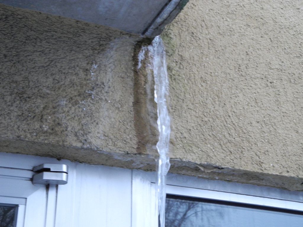 DSCN0250_JPG-1328972642