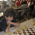 IMG_2407 _Medium_.JPG