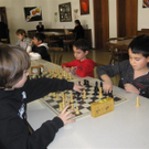 IMG_2426 _Medium_.JPG