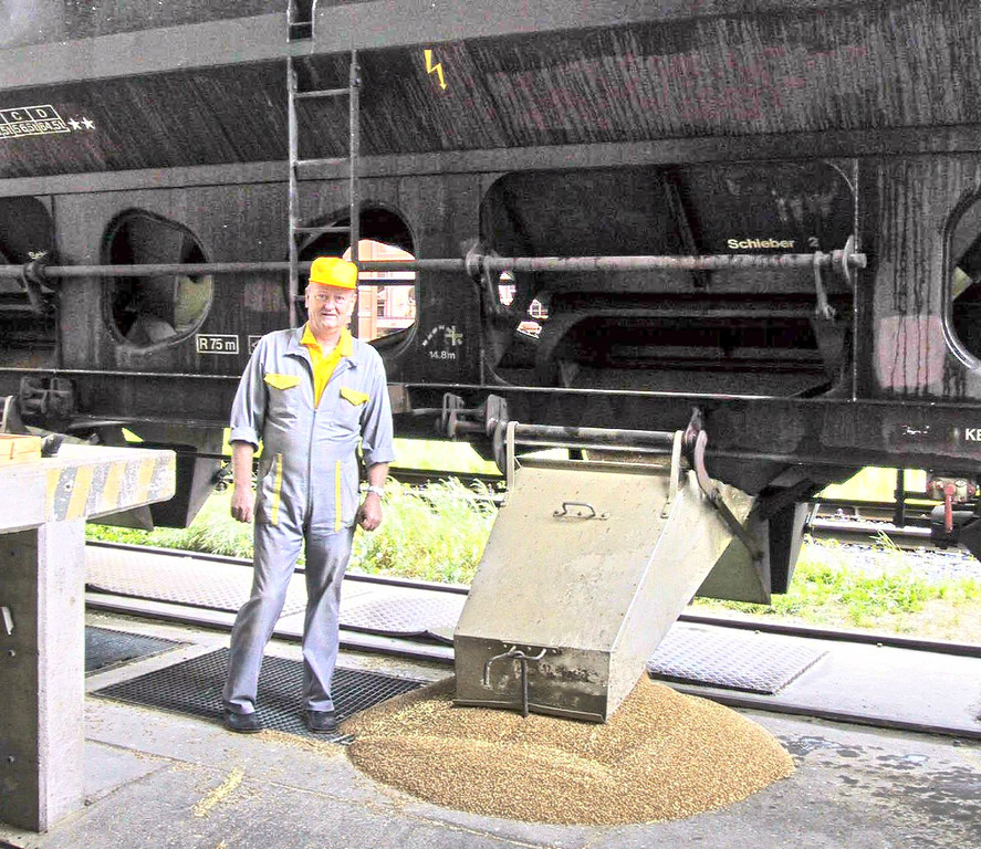 Waggon_jpg-1328974526