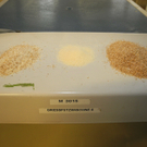 DSCN0076_jpg-1328974322