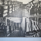 DSCN0083_jpg-1328974408