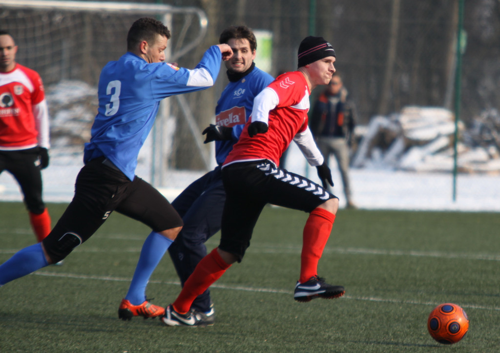 Dornb_  SW B  2012 _82__jpg-1328994068