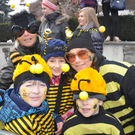wespen_jpg-1328999141