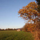 F____ler Bernhard 3.jpg