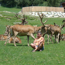 Lueger Reinhardt .jpg