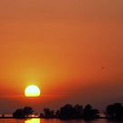 Schneider Karl-Heinz.jpg