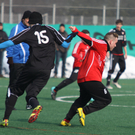 Maeder  Dornb_  SW B  2012 011_jpg-1329061226
