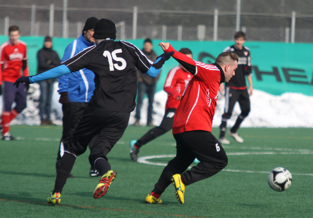 Maeder  Dornb_  SW B  2012 011_jpg-1329061226