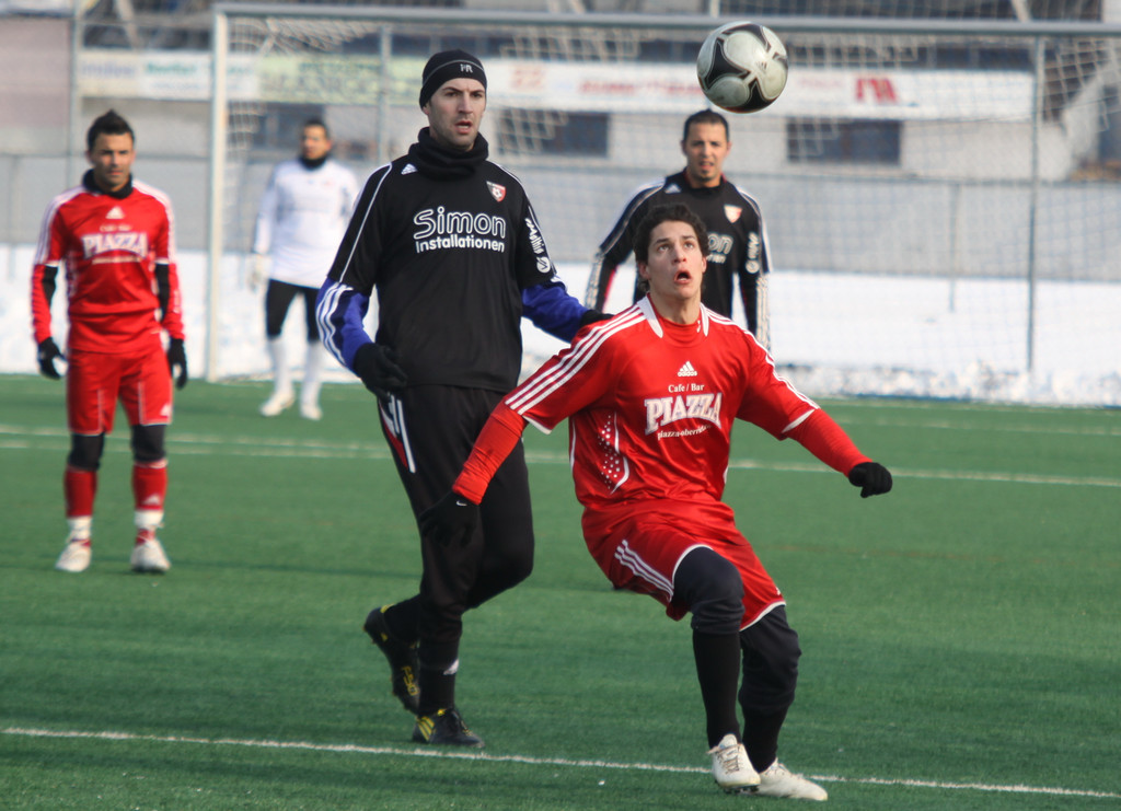 Maeder  Dornb_  SW B  2012 100_jpg-1329061673