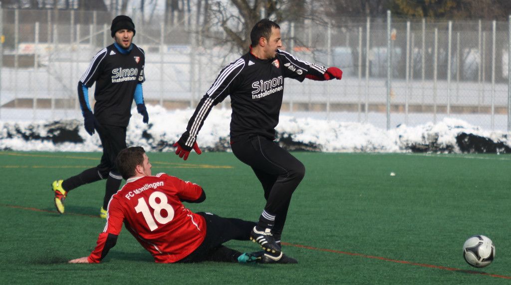 Maeder  Dornb_  SW B  2012 117_jpg-1329061789