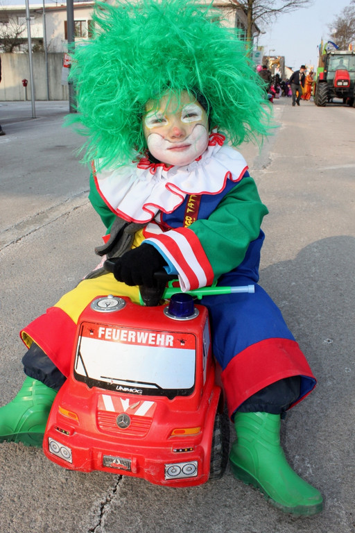 Fasching Leiblachtaler Umzug 2012 _5__jpg-1329061763