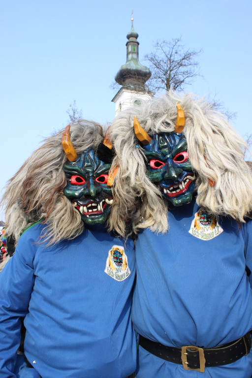 Fasching Leiblachtaler Umzug 2012 _25__jpg-1329061885