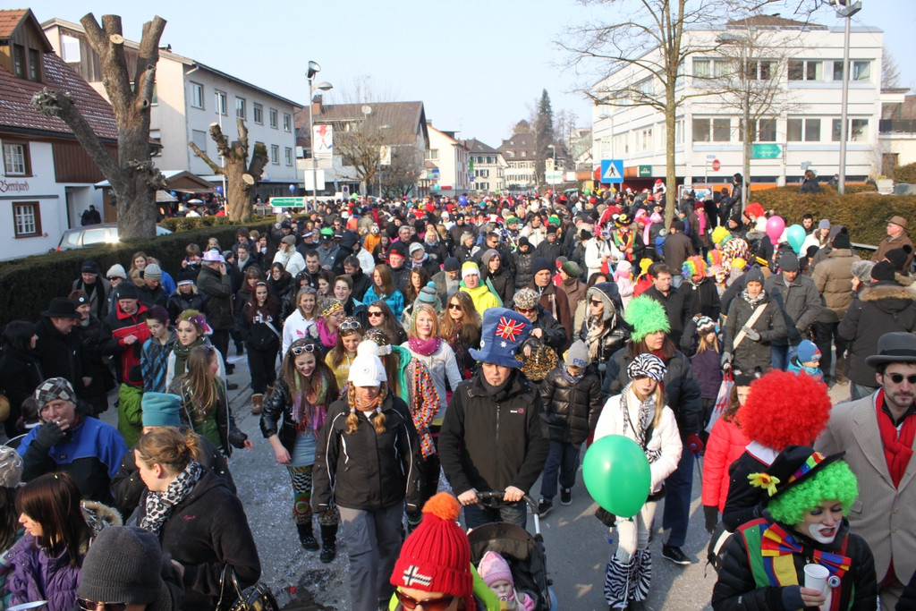 Fasching Leiblachtaler Umzug 2012 _45__jpg-1329062004
