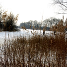 # Titelbild_JPG-1329062365