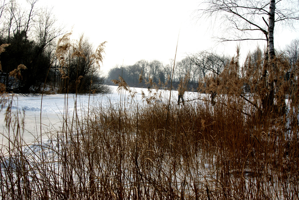 # Titelbild_JPG-1329062365