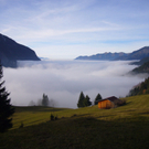 Bitschnau Gerhard 4.jpg