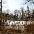 Landschaft 03_JPG-1329062537