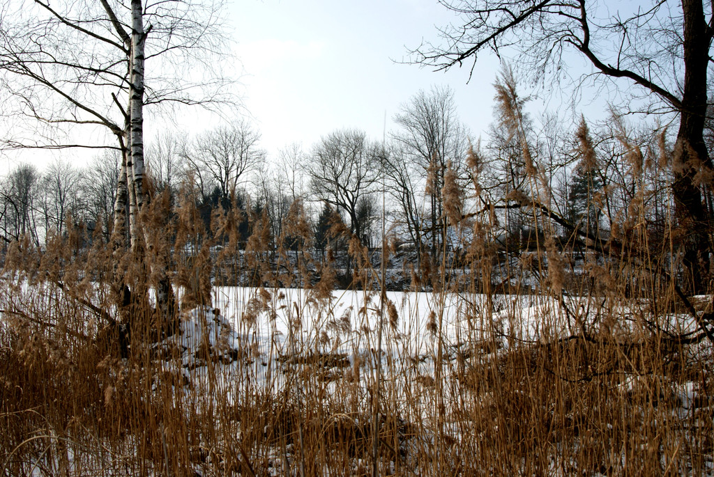 Landschaft 03_JPG-1329062537