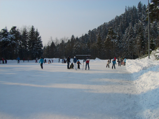 CIMG4910_JPG-1329063772