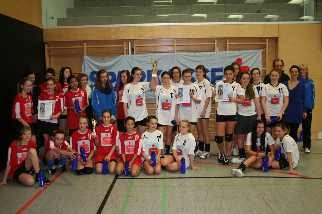 Volleyball Gruppe_jpg-1329080018