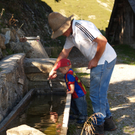 Morscher Ingemar .jpg