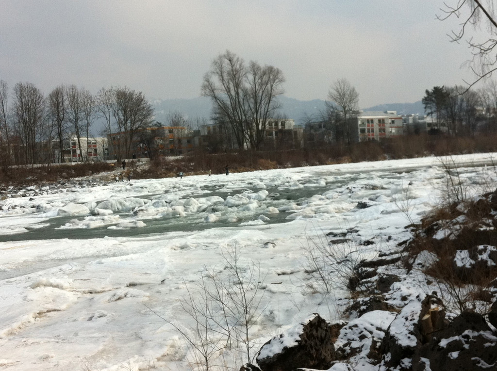 ach3_jpg-1329084175