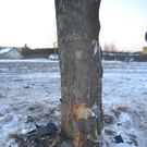 12022012_MR B21a WN _11_.JPG